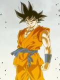 Goku (Kakarot)