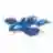 Kyogre