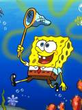 Spongebob (Spongebob Squarepants)