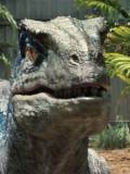 Blue (Velociraptor)