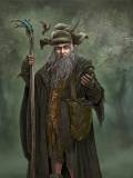 Radagast The Brown