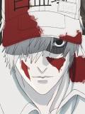 White Blood Cell