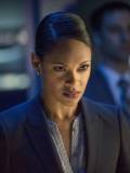 Amanda Waller