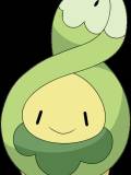 Budew (Budew)