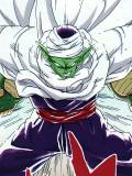 Piccolo (Piccolo)