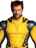 Wolverine (Logan)