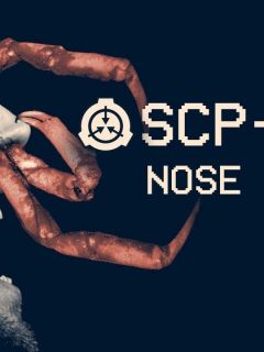 SCP-1795 - The Star Womb, SCP Foundation