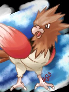 Spearow