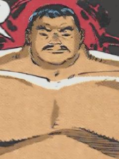 Sumo