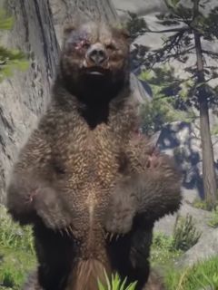 Legendary Bharati Grizzly Bear