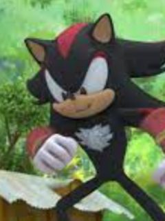 Shadow The Hedgehog