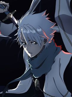 Toshiro Hitsugaya (Pre-Matured Bankai)