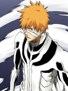 Ichigo Kurosaki (Complete Fullbring)