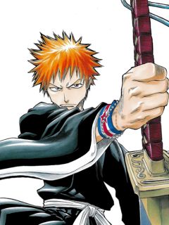 Ichigo Kurosaki (Substitute Soul Reaper)