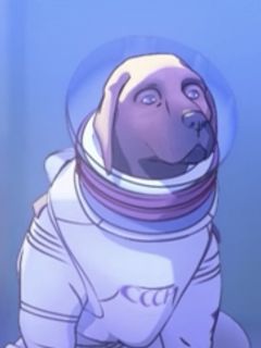 Cosmo The Spacedog