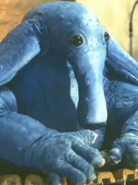 Max Rebo