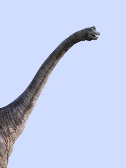 Brachiosaurus