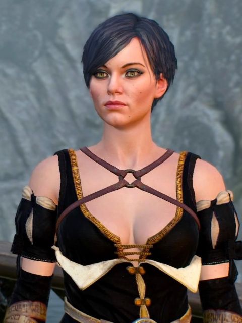 Fringilla Vigo