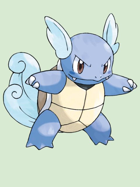 Wartortle