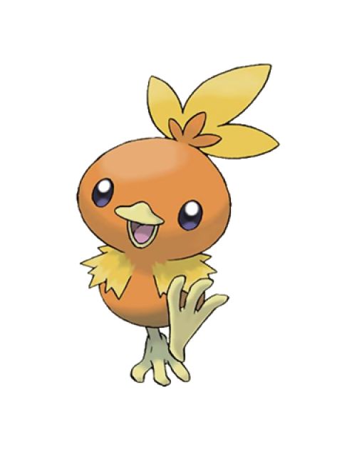 Torchic