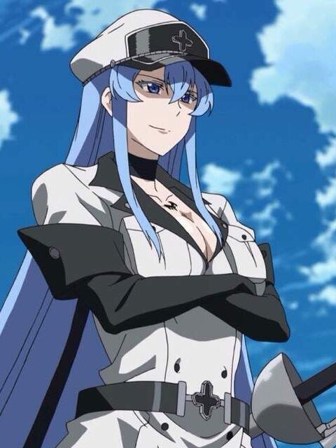 Esdeath (AGK) vs Berthier (Sailor Moon) - Who would win in a fight ...