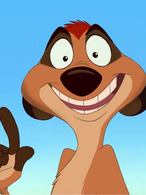 Timon