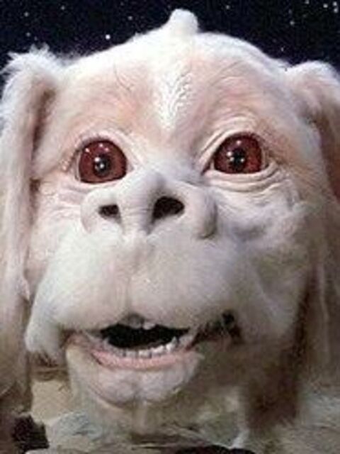 Falkor