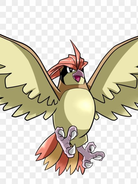 Pidgeotto