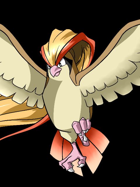 Pidgeot