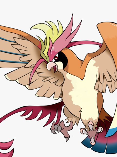 Mega Pidgeot