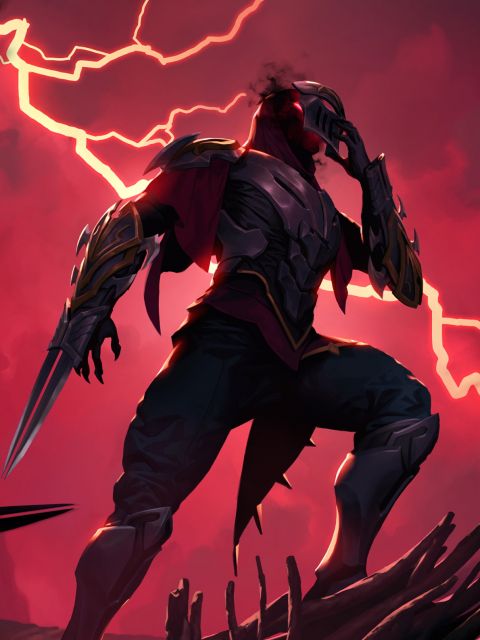 Zed