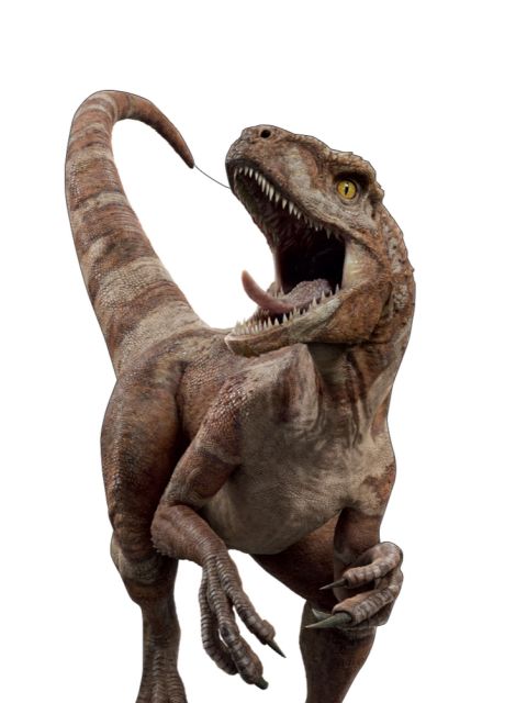 Atrociraptor