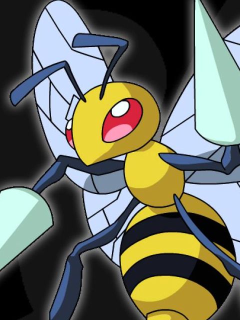 Beedrill