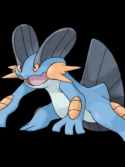 Swampert