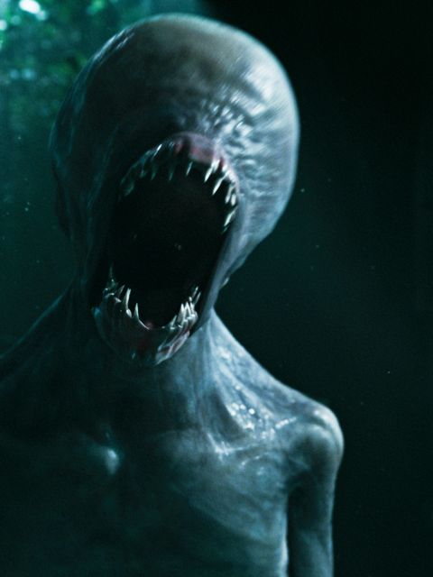 Neomorph