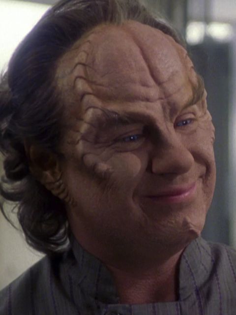 Doctor Phlox