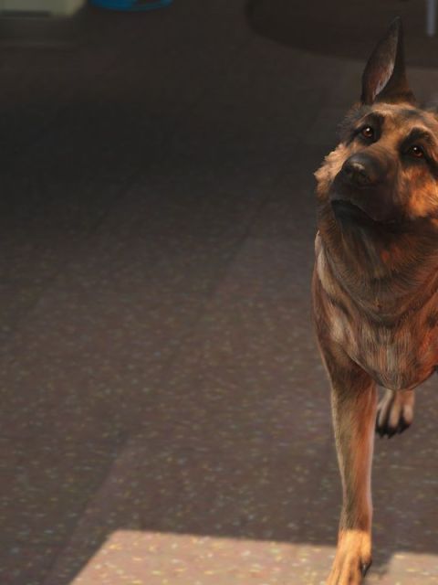 Dogmeat