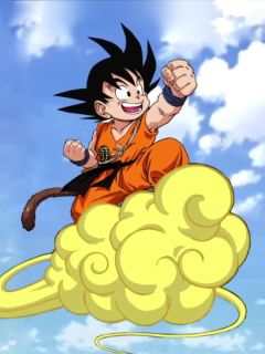 Flying Nimbus