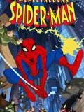 Spectacular Spider-man