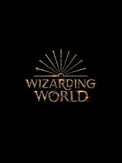 Wizarding World