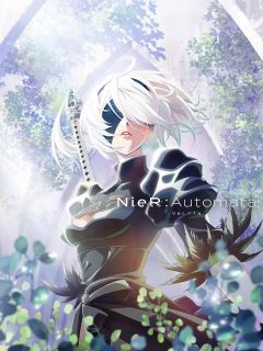 NieR:Ver1.1a